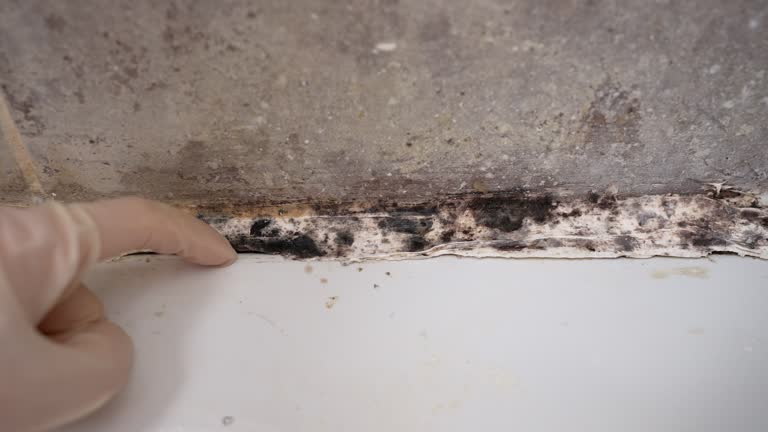 Best Asbestos and Lead Testing During Mold Inspection  in Fremont, NE